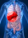 Stire din Sănătate : Reacțiile adverse ale tratamentului hepatitei sperie, dar pot fi depășite