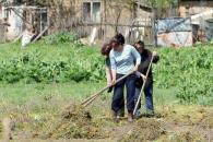Stire din Social : Sătenii din Potârnichea nu vor mai primi ajutoare sociale până în octombrie