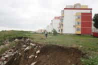 Stire din Social : Consolidarea cu vegetație - o soluție ieftină pentru a încetini surparea malului în cartierul Poarta 6