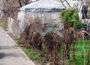 Stire din Cetățenești : "N-am văzut așa ceva în toată Constanța!"