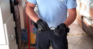 Șarpe într-un magazin din Constanța. Au intervenit jandarmii!