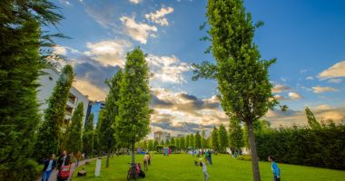 25 ani de IULIUS: 3 grădini urbane amenajate de la zero în Iași, Timișoara și Cluj-Napoca, 18 hectare spații verzi, peste 80.000 arbori maturi și arbuști - 6