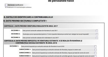 Stire din Economie : 600.000 de persoane fizice au depus declarația unică