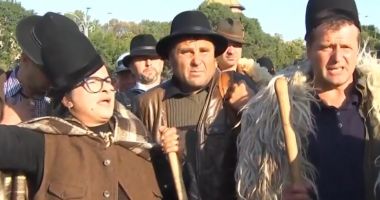 Stire din Social : Ciobanii protestează iar la Guvern din cauza pestei. "600 de animale împușcate în cap"