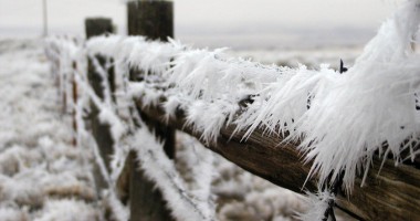 Stire din Social : Minus șase grade Celsius, cea mai scăzută temperatură din țară, azi