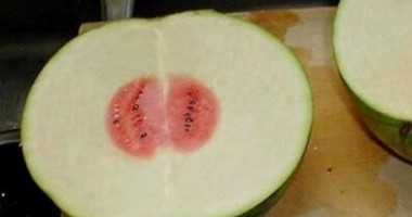 Șocant! Cum arată pepenii din Fukushima, afectați de radiații! - 2