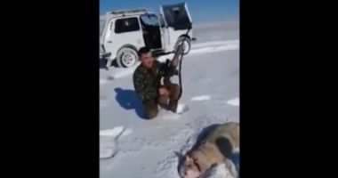VIDEO INCREDIBIL! Un lup împușcat s-a prefăcut mort și a atacat un vânător