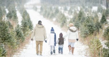 Stire din Social : ANM. Cum va fi vremea, în România, în luna februarie
