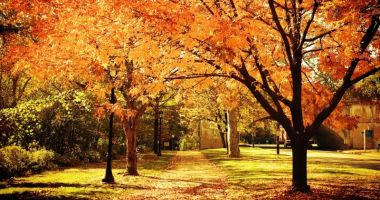Stire din Social : Vești de la meteorologi! ANM a emis prognoza meteo pentru următoarele patru săptămâni