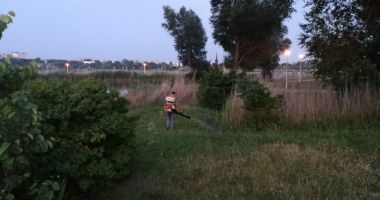 Primăria Constanța continuă acțiunile de dezinsecție