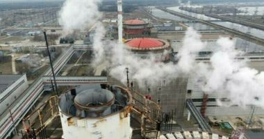 Autorităţile ruse, trase la răspundere în legătură cu dispariţia directorului centralei nucleare ucrainene Zaporojie