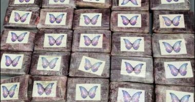 Stire din Actualitate : Un primar care s-a dus la pescuit "a prins" cocaină de peste un milion de dolari
