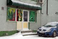 Stire din Sănătate : Weed-shopurile nu vor mai avea "vise" la vânzare