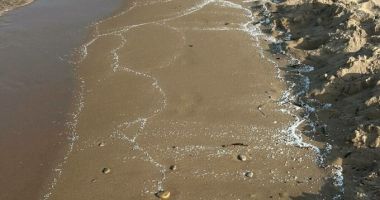 Stire din Actualitate : Patru plaje au fost închise după ce pe nisip au apărut particule albe misterioase