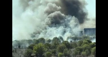 Stire din Eveniment : Un bărbat disperat la alergia la ambrozie a vrut să scape de tufa din fața blocului. În scurt timp s-a declanșat iadul
