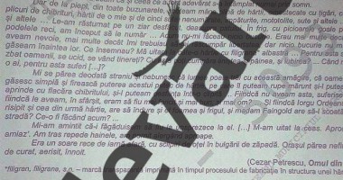 Bacalaureat 2014. Iată SUBIECTELE PROBEI SCRISE la LIMBA ROMÂNĂ - 2