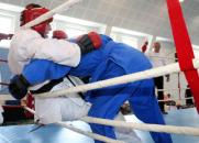 Stire din Sport : Daniel Asaftei, la Dinamoviada de unifight de la Turnu Severin