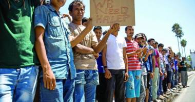 Stire din Actualitate : Greșeala tragicomică a unui grup de imigranți pakistanezi: "Avem nevoie de Halep!"