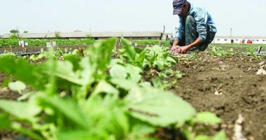 Stire din Social : Vești proaste pentru zilieri: obligați să contribuie și ei la pensii?