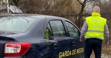 DEȘEURI OPRITE LA GRANIȚĂ!  Încă un transport întors din drum de Garda de Coastă