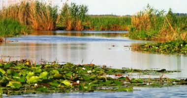 Stire din Social : Americanii sunt fascinați de Delta Dunării