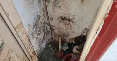 Amenzi de 40.000 de lei la un depozit de alimente. Ce au descoperit comisarii ANPC - 3
