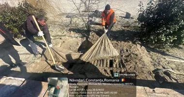 Stire din Social : Ce s-a mai descoperit pe plajele din Năvodari! Anunțul ministrului Mediului