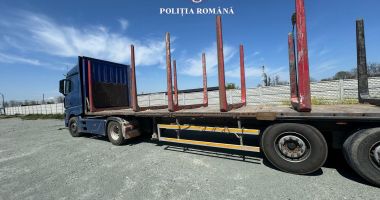 Transport neavizat de lemne, identificat de polițiști la Tuzla - 2