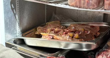 Restaurant din Ovidiu, în centrul unui scandal. Sute de kilograme de alimente retrase de la vânzare - 5