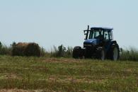 91% din exploatațiile agricole din România sunt unități de subzistență