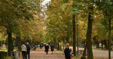 Stire din Social : Luna noiembrie debutează cu temperaturi în scădere în toată ţara. Cum va fi vremea în Dobrogea