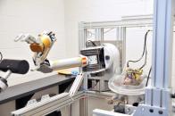 O maimuță a controlat un robot cu puterea minții