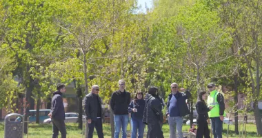 Parcul Tăbăcărie prinde viață. Arbori noi și gazon refăcut în zona Cetate–Zodiac - 2