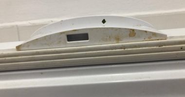 ATENȚIE, IMAGINI GREU DE PRIVIT! Iată ce mizerii mănâncă turiștii, pe litoral - 5