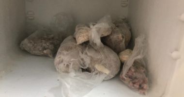 ATENȚIE, IMAGINI GREU DE PRIVIT! Iată ce mizerii mănâncă turiștii, pe litoral - 6
