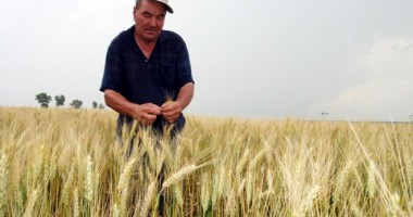 Stire din Economie : Avertizare de SECETĂ. Agricultorii dobrogeni încă așteaptă ploaia