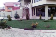 Alegerea gazonului (2)