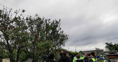 GALERIE FOTO. Peste 150 de câini și pisici, ținuți în CONDIȚII GREU DE SUPORTAT! Poliția a luat toate animalele! - 3