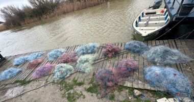 Oficial de la Garda de Coastă: sute de kilograme de pește pescuit ilegal, descoperite la Sulina - 2