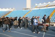 Sicriul cu suporterul Farului, plimbat pe stadion