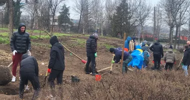 Lecție de implicare! Ploaia nu a oprit voluntarii să planteze copaci la Palatul Copiilor - 4