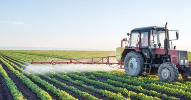 UE analizează relaxarea restricţiilor privind organismele modificare genetic. Care e scopul