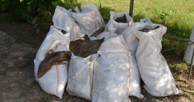 Saci cu rechin și calcan, confiscați la Midia - 3