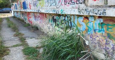 Campania "Cuget Liber" - Păstrează Constanța curată! - "Jungla" din complexul "Badea Cârţan". Beţivi, prostituate, mizerie şi bălării cât casa - 4