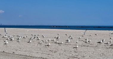 Afaceri estivale pe litoral! Cine câştigă şi cine pierde în "deşertul" din Mamaia - 7