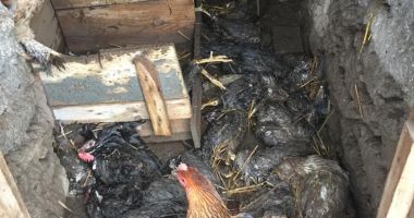 Potop în județul Constanța! A fost rupere de nori! - 4