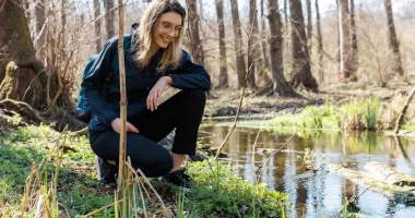 Stire din Eveniment : Diana Buzoianu anunță un posibil caz de fraudă. 250.000 de puieți forestieri dispăruți din evidențe