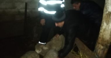 Potop în județul Constanța! A fost rupere de nori! - 2