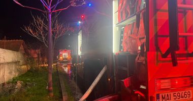 Un saivan din satul Palazu Mic, județul Constanța, a luat foc - 2