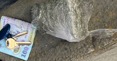 Un albanez și o constănțeancă, prinși când transportau droguri în Lumina - 2